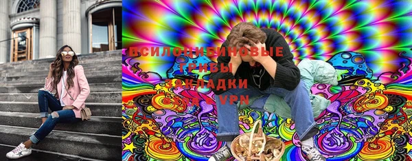 стаф Абаза